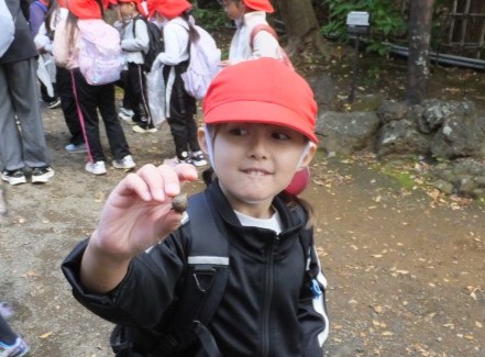 どんぐりを見つけたよ！