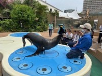 サンシャイン水族館